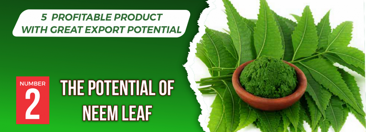 Neem Leaf from Nigeria